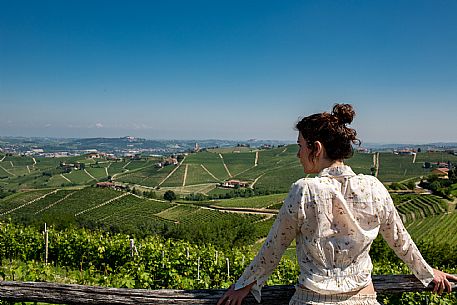 Langa of Barbaresco Landscape
